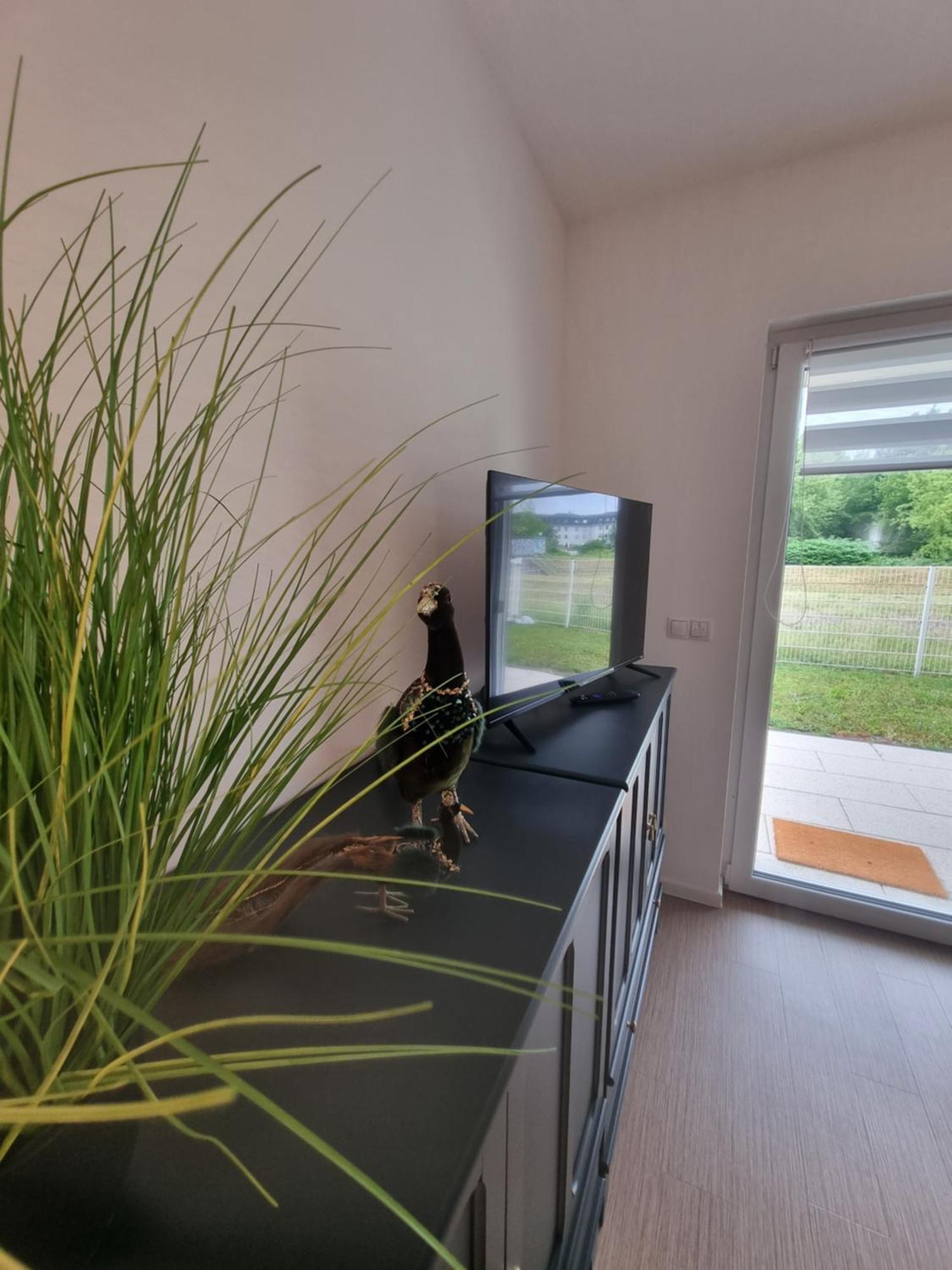 Ferienwohnung Im Palais Am See Am Goitzschesee Bitterfeld-Wolfen Room photo
